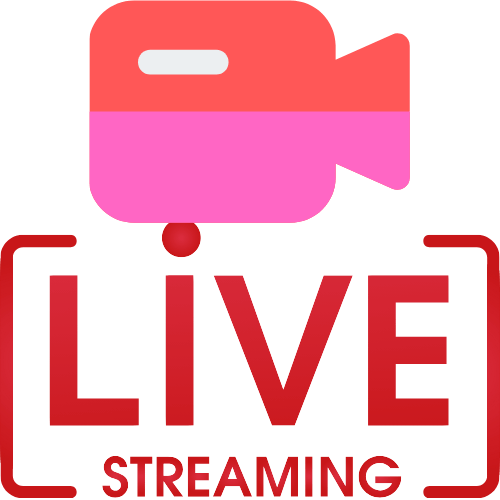 Vibingwithvi Cam